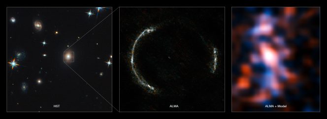 Montaggio dell’anello di Einstein e della Galassia ingrandita dalla lente gravitazionale SDP.81. Crediti: ALMA (NRAO / ESO / NAOJ) / Y. Tamura (The University of Tokyo) / Mark Swinbank (Durham University) 