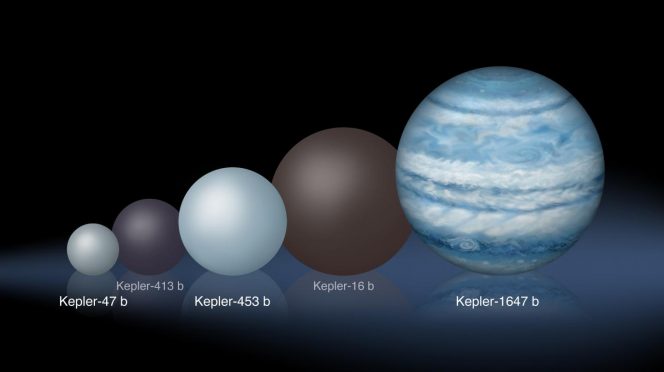 Confronto tra le dimensioni relative dei diversi pianeti circumplanetari scoperti da Kepler, dal più piccolo, Kepler-47 b, al più grande, Kepler-1647 b. Crediti: Lynette Cook