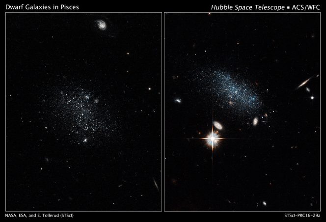 Le galassie nane Pisces A e Pisces B, rispettivamente nei pannelli a sinistra e a destra, riprese dal telescopio spaziale Hubble con la Advanced Camera for Surveys. Crediti: NASA, ESA, and E. Tollerud (STScI)