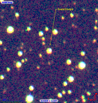 Immagine di Gaia16aye ottenuta da Giuseppe Altavilla con il telescopio da 1.5 m di Loiano il 14 settembre 2016. 
