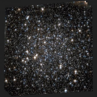 La regione centrale dell'ammasso globulare NGC 6101 osservata dal telescopio spaziale Hubble. Crediti: NASA