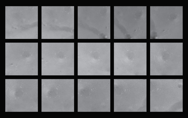 Sequenza delle 15 immagini raccolte da Schiaparelli durante la discesa. Gli scatti saranno distanziati tra loro di 1.5 secondi, e le quote a cui verranno raccolti vanno da 3 a 1.5 km dalla superficie. Crediti: NASA/JPL/MRO Simulazione: ESA