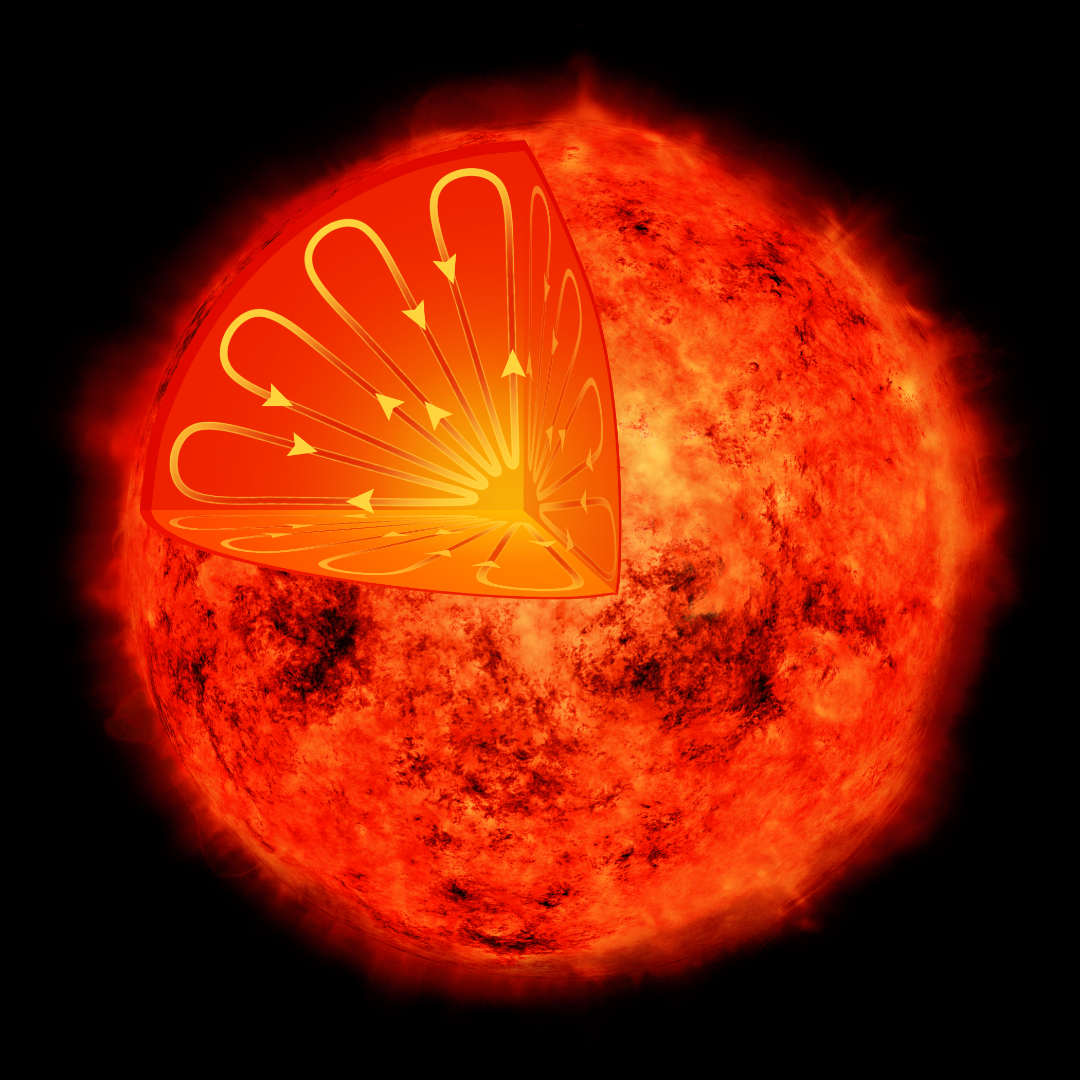 Macchie stellari su Proxima Centauri  MEDIA INAF