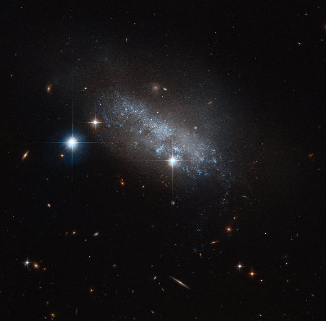Crediti: ESA/Hubble & NASA
