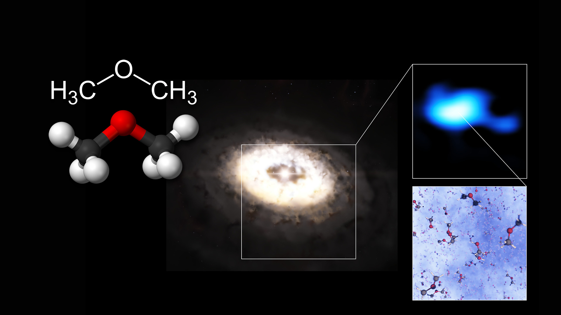 Etere dimetilico per sei astronome di Leiden MEDIA INAF