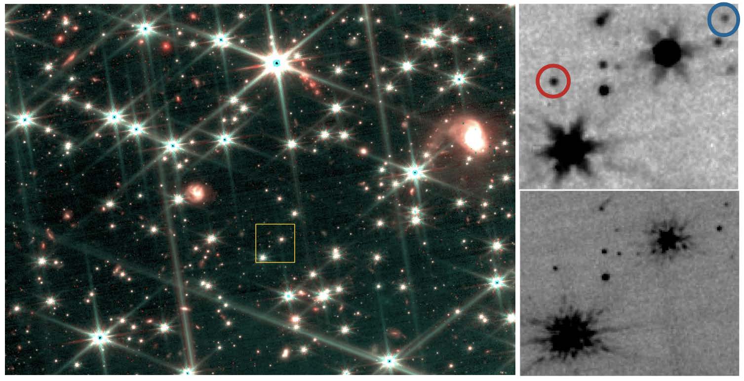 A sinistra, immagine di una porzione del campo di vista osservato dal James Webb. A destra, immagini monocromatiche nel vicino e lontano infrarosso per la regione indicata dal riquadro in giallo nel pannello di sinistra. I cerchi blu e rosso indicano due nane brune. Credits: A. F. Marino et al. 2024