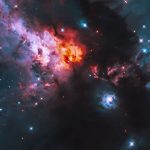 Ritratti di quattro astri nascenti