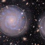 Regalade, la mappa per cacciare i transienti