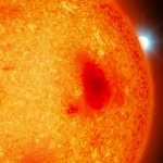 Quattro stelle morte nel nostro cortile cosmico