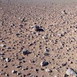 Una tecnica elettrica per cercare segni di vita