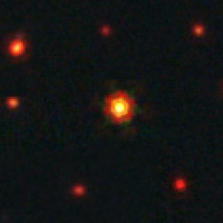 Ecco Bird, il grande “piccolo punto rosso”