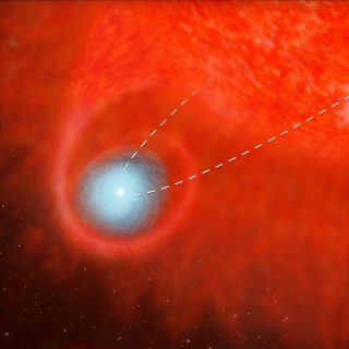 Alma ha trovato la compagna di Pi1 Gruis