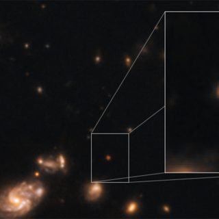 Nana bruna o galassia lontana: Capotauro, cosa sei?