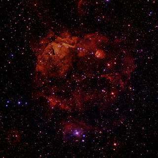 Stelle che crescono nel deserto dei metalli